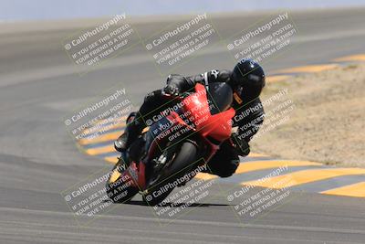 media/May-14-2023-SoCal Trackdays (Sun) [[024eb53b40]]/Turn 12 (1145am)/